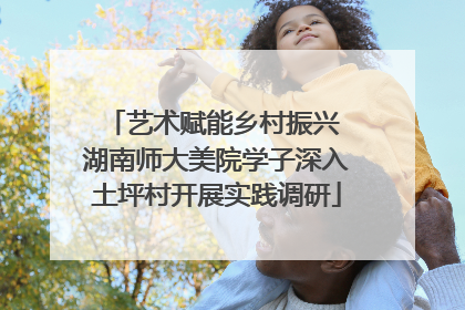 艺术赋能乡村振兴 湖南师大美院学子深入土坪村开展实践调研