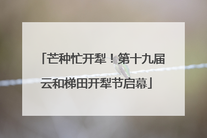 芒种忙开犁！第十九届云和梯田开犁节启幕