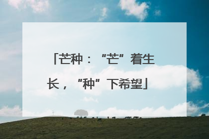 芒种：“芒”着生长，“种”下希望