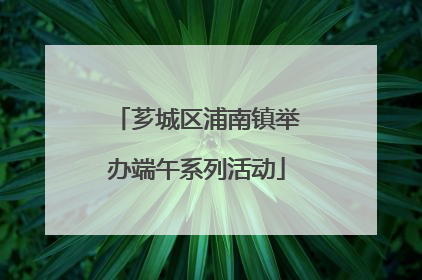 芗城区浦南镇举办端午系列活动
