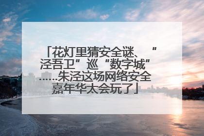 花灯里猜安全谜、“泾吾卫”巡“数字城”……朱泾这场网络安全嘉年华太会玩了