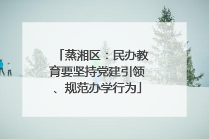 蒸湘区：民办教育要坚持党建引领、规范办学行为