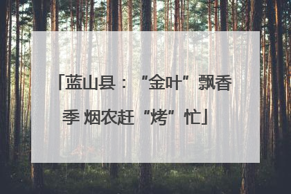 蓝山县：“金叶”飘香季 烟农赶“烤”忙