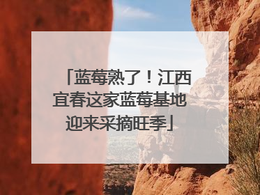蓝莓熟了！江西宜春这家蓝莓基地迎来采摘旺季