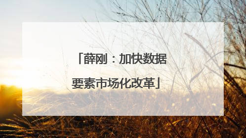 薛刚：加快数据要素市场化改革
