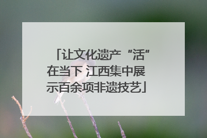 让文化遗产“活”在当下 江西集中展示百余项非遗技艺