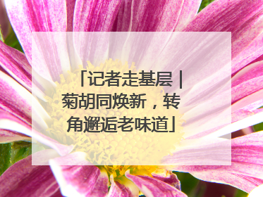 记者走基层｜菊胡同焕新，转角邂逅老味道
