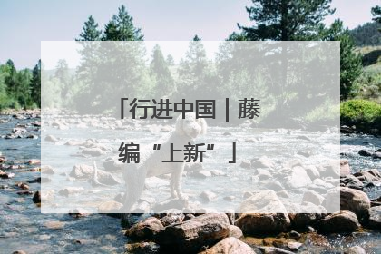 行进中国｜藤编“上新”