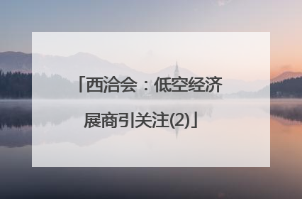 西洽会：低空经济展商引关注(2)