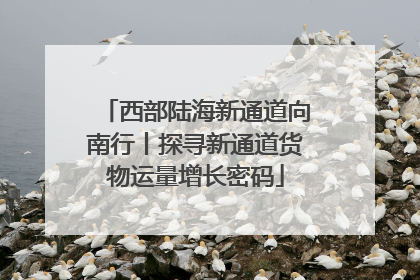 西部陆海新通道向南行丨探寻新通道货物运量增长密码