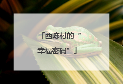 西陈村的“幸福密码”