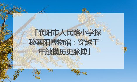 襄阳市人民路小学探秘襄阳博物馆：穿越千年触摸历史脉搏