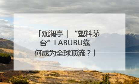 观澜亭｜“塑料茅台”LABUBU缘何成为全球顶流？