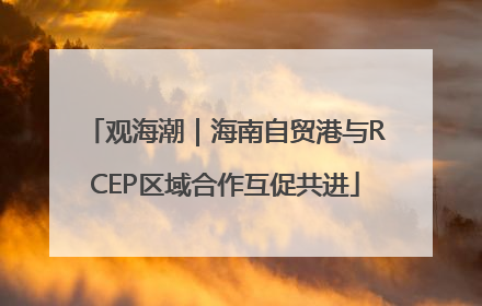 观海潮｜海南自贸港与RCEP区域合作互促共进