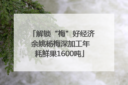 解锁“梅”好经济 余姚杨梅深加工年耗鲜果1600吨