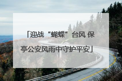 迎战“蝴蝶”台风 保亭公安风雨中守护平安