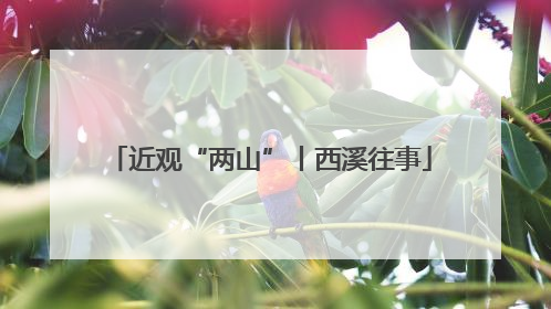 近观“两山”丨西溪往事