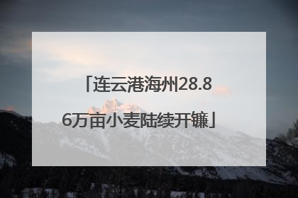 连云港海州28.86万亩小麦陆续开镰