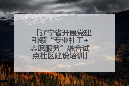 辽宁省开展党建引领“专业社工+志愿服务”融合试点社区建设培训