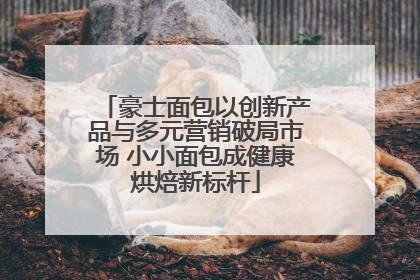 豪士面包以创新产品与多元营销破局市场 小小面包成健康烘焙新标杆
