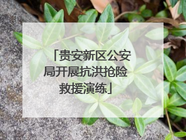 贵安新区公安局开展抗洪抢险救援演练