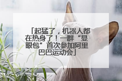 起猛了，机器人都在热身了！一群“显眼包”首次参加阿里巴巴运动会