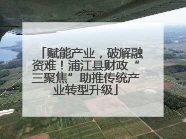赋能产业，破解融资难！浦江县财政“三聚焦”助推传统产业转型升级