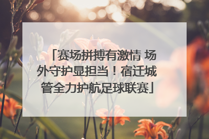 赛场拼搏有激情 场外守护显担当！宿迁城管全力护航足球联赛