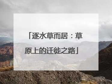 逐水草而居：草原上的迁徙之路