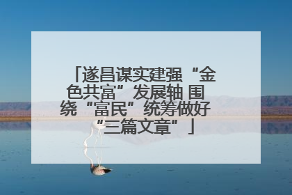 遂昌谋实建强“金色共富”发展轴 围绕“富民”统筹做好“三篇文章”
