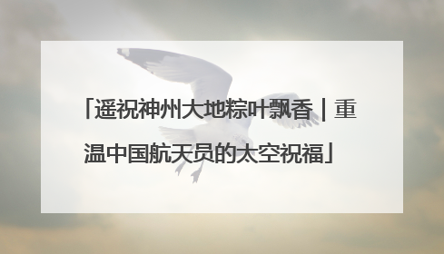 遥祝神州大地粽叶飘香｜重温中国航天员的太空祝福