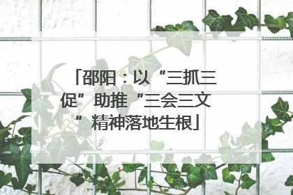 邵阳：以“三抓三促”助推“三会三文”精神落地生根