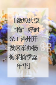 邀您共享“梅”好时光！漳州开发区举办杨梅采摘季嘉年华