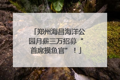 郑州海昌海洋公园月薪三万招募“首席摸鱼官”！
