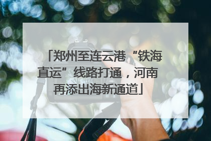 郑州至连云港“铁海直运”线路打通，河南再添出海新通道
