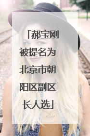 郝宝刚被提名为北京市朝阳区副区长人选
