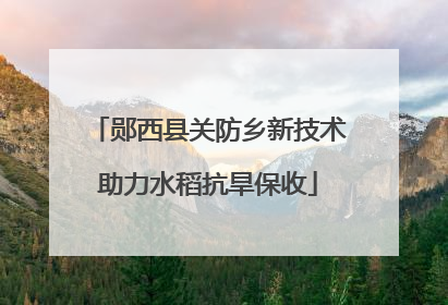 郧西县关防乡新技术助力水稻抗旱保收