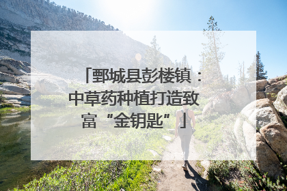 鄄城县彭楼镇：中草药种植打造致富“金钥匙”