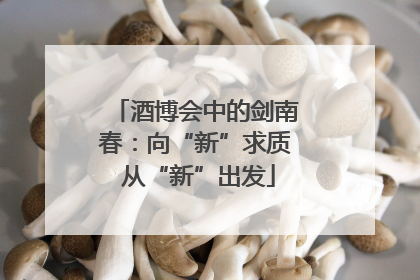 酒博会中的剑南春：向“新”求质 从“新”出发