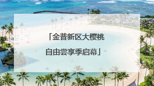 金普新区大樱桃自由尝享季启幕