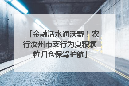 金融活水润沃野！农行汝州市支行为夏粮颗粒归仓保驾护航