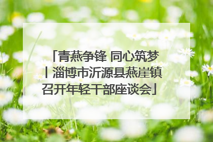 青燕争锋 同心筑梦丨淄博市沂源县燕崖镇召开年轻干部座谈会