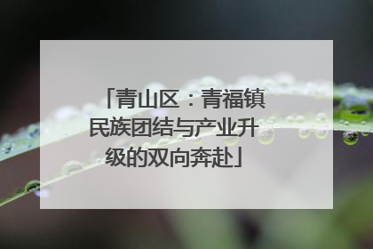 青山区：青福镇民族团结与产业升级的双向奔赴