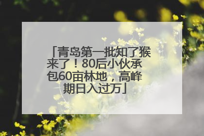 青岛第一批知了猴来了！80后小伙承包60亩林地，高峰期日入过万