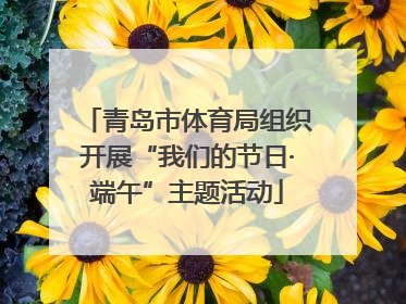 青岛市体育局组织开展“我们的节日·端午”主题活动