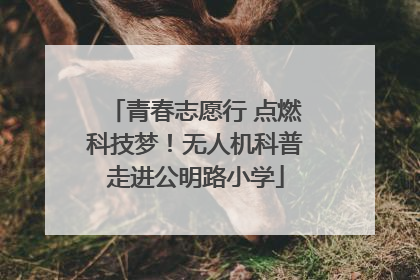 青春志愿行 点燃科技梦！无人机科普走进公明路小学