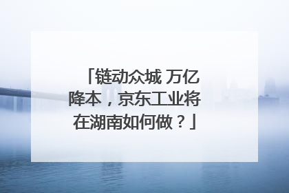 链动众城 万亿降本，京东工业将在湖南如何做？