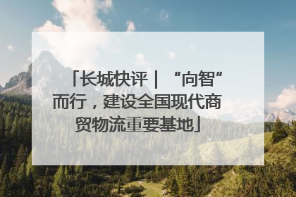 长城快评｜“向智”而行，建设全国现代商贸物流重要基地