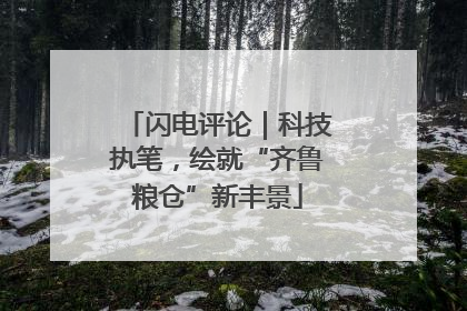 闪电评论｜科技执笔，绘就“齐鲁粮仓”新丰景