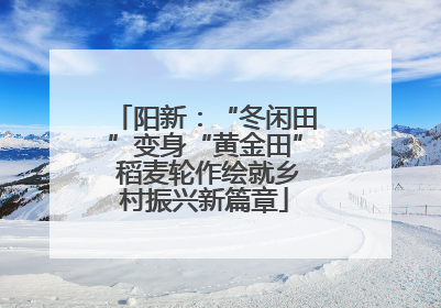 阳新：“冬闲田”变身“黄金田” 稻麦轮作绘就乡村振兴新篇章